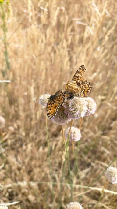 El Telar Arte Y Naturaleza Prádena Eksteriør bilde