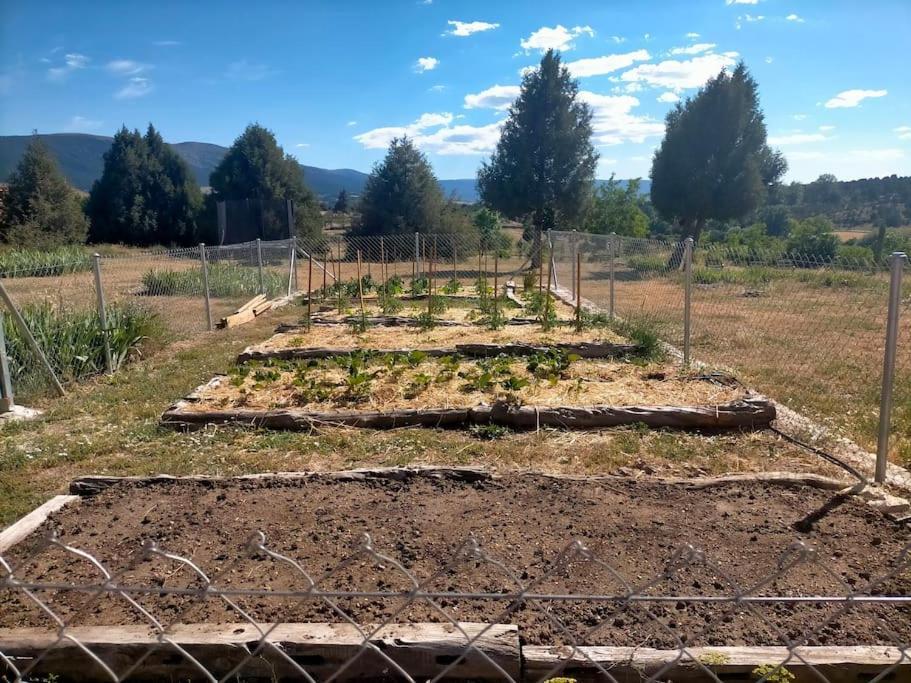 El Telar Arte Y Naturaleza Prádena Eksteriør bilde